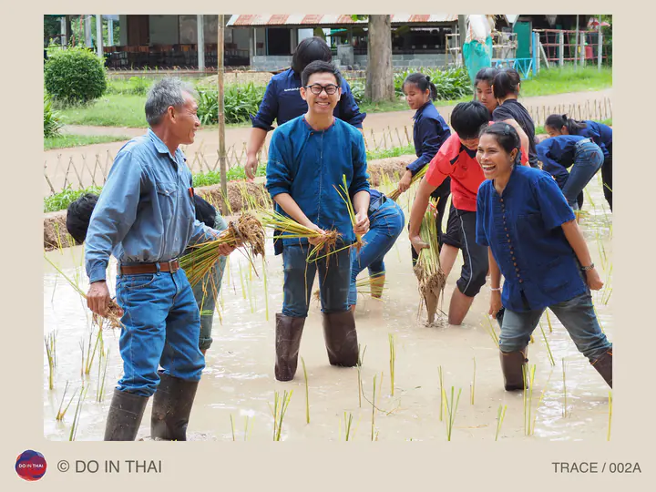People smile and hold rice seedlings while others plant them in a flooded paddy.
