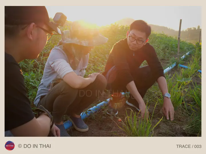 A group crouches beside plants and blue irrigation pipes in evening light.