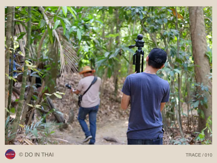 Seen from behind, people carry a camera and tripod along a path through trees.